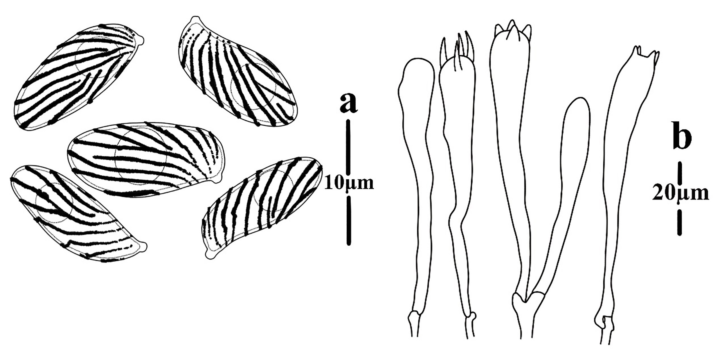 Figure 44